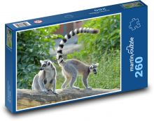 Lemur kata Puzzle 260 - 41x28,7 cm