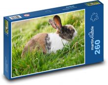 Králík Puzzle 260 dílků - 41 x 28,7 cm