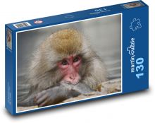 Makak - opice Puzzle 130 dílků - 28,7 x 20 cm