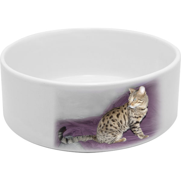 Keramik-Schüsseln für Katzen, weiß