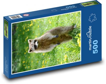 Raccoon in the garden - Puzzle of 500 pieces, size 46x30 cm 