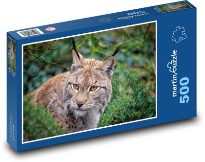 Rys ostrovid v lese - Puzzle 500 dielikov, rozmer 46x30 cm 