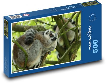 Lemur kata spící na stromě  - puzzle 500 dílků
