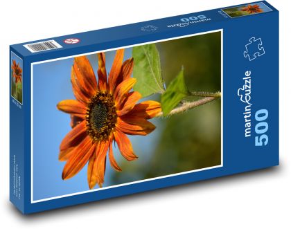 Orange Gerbera Flower - Puzzle of 500 pieces, size 46x30 cm 