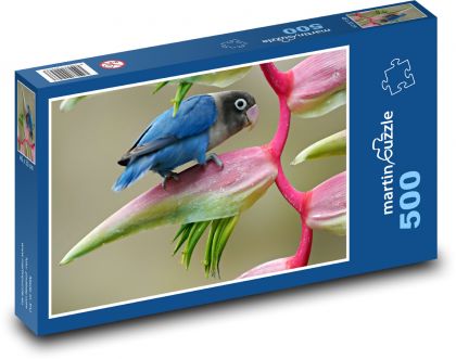 Agapornis - vták - Puzzle 500 dielikov, rozmer 46x30 cm 