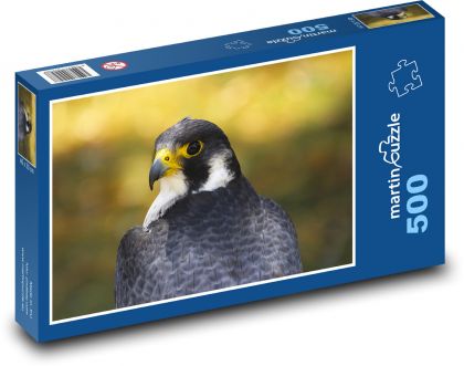 Gyrfalcon - sokol - puzzle 500 dílků