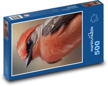 Pták s oranžovým peřím  Puzzle 500 dílků - 46 x 30 cm