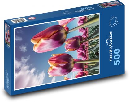 Fialové tulipány - jarní květiny - puzzle 500 dílků