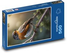 Lipstick on a branch - bird Puzzle of 500 pieces - 46 x 30 cm 