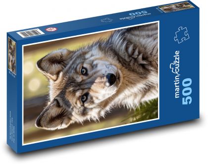 Wolf cub - Puzzle of 500 pieces, size 46x30 cm 