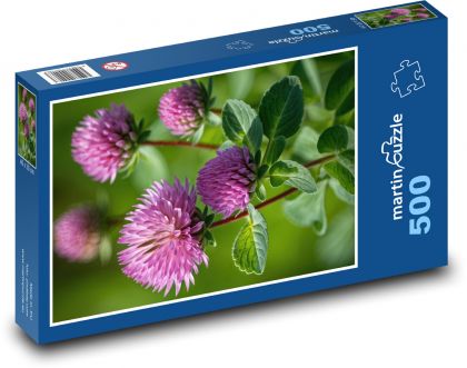 Kvety ďateliny na lúke - Puzzle 500 dielikov, rozmer 46x30 cm