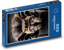 Tarantel - große Spinne Puzzle 500 Teile - 46 x 30 cm
