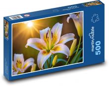 Weiße Lilienblüte Puzzle 500 Teile - 46 x 30 cm