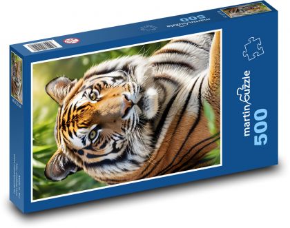 Tiger - Katze - Puzzle - 500 Teile
