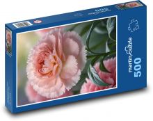 Goździk różowy - kwiat Puzzle 500 elementów - 46x30 cm