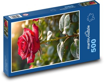 Tau auf einer roten Rose - Puzzle - 500 Teile