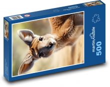Kangaroo - marsupial from Australia Puzzle of 500 pieces - 46 x 30 cm 