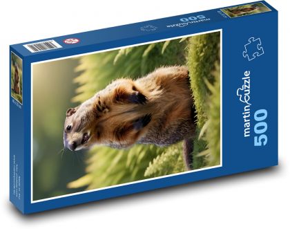 Svišť - hlodavec - Puzzle 500 dílků, rozměr 46x30 cm