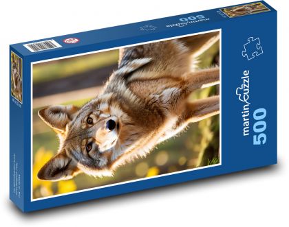 Kojote im Wald - Puzzle - 500 Teile