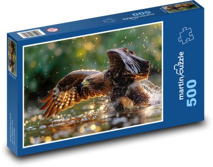 Jestřáb - sokol, pták nad vodou - puzzle 500 dílků