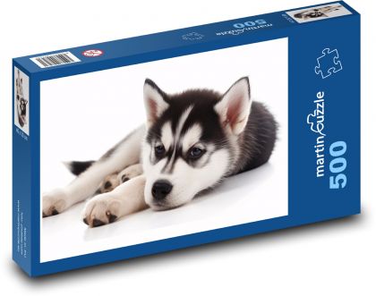 Dog - puppy, pet - Puzzle of 500 pieces, size 46x30 cm 