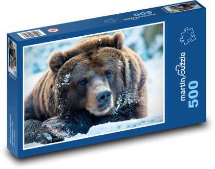 Medveď hnedý - zviera, cicavec - Puzzle 500 dielikov, rozmer 46x30 cm 