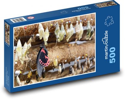 Schmetterling - Insekten, Kapuzen - Puzzle - 500 Teile