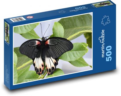Schwarzer Schmetterling - Insekt, Flügel - Puzzle - 500 Teile