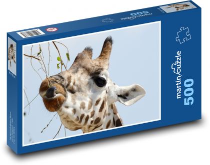 Giraffe - mammal, animal head - Puzzle of 500 pieces, size 46x30 cm 