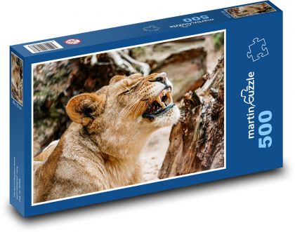 Lvice s vytasenými zuby - puzzle 500 dílků