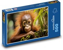 Roztomilé mláďa orangutana Puzzle 500 dielikov - 46 x 30 cm 