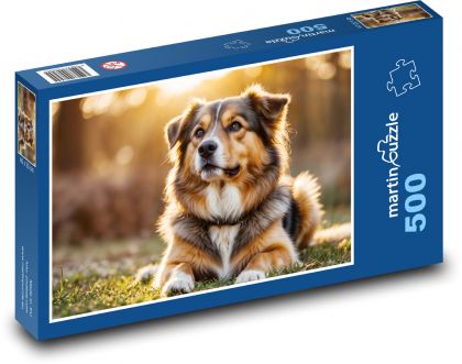 Pies o zachodzie słońca - Puzzle 500 elementów, rozmiar 46x30 cm
