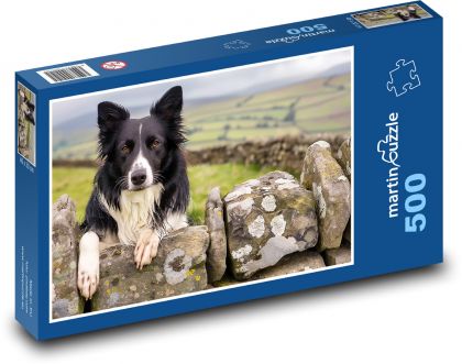Border Collie - Domestic Pet - Puzzle of 500 pieces, size 46x30 cm 