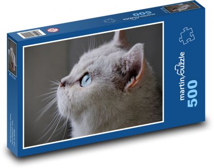 Šedá kočka s dlouhými vousy - puzzle 500 dílků