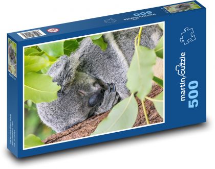 Koalabär schläft auf einem Baum - Puzzle - 500 Teile