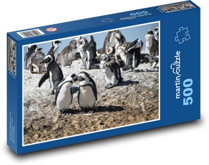 Pinguine - Südafrika, Kapstadt - Puzzle - 500 Teile
