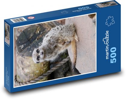 Surikata v zoo - Puzzle 500 dílků, rozměr 46x30 cm