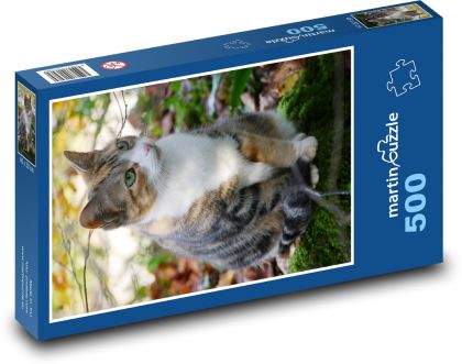 Kočka sedící na mechu - puzzle 500 dílků