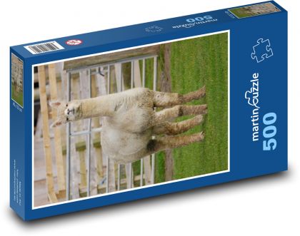 Alpaka v zoo - Puzzle 500 dílků, rozměr 46x30 cm