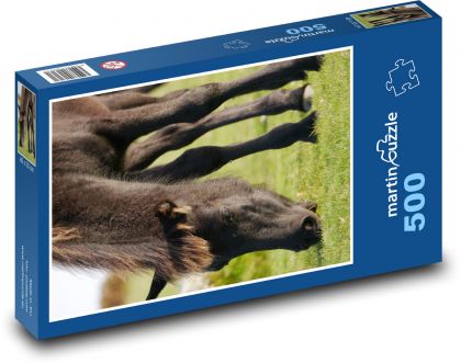 Poník pasúci sa na lúke - Puzzle 500 dielikov, rozmer 46x30 cm 