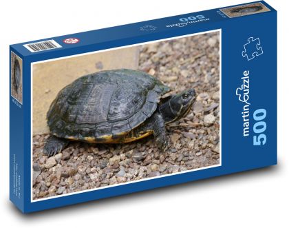 Gad - żółw - Puzzle 500 elementów, rozmiar 46x30 cm