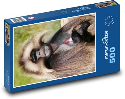 Dželada - pavián, opice - puzzle 500 dílků