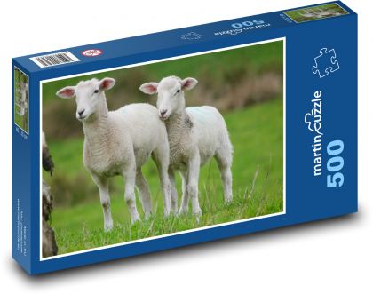 Lambs in the pasture - Puzzle of 500 pieces, size 46x30 cm 