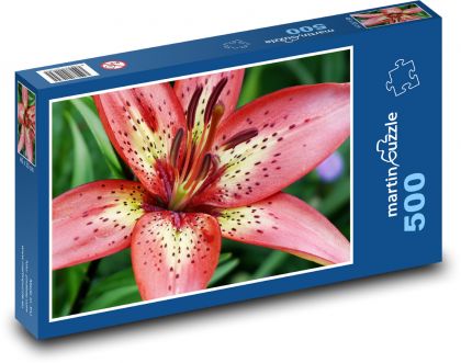 Red lily - flower, plant - Puzzle of 500 pieces, size 46x30 cm 