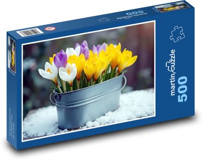 Crocuses - spring flowers, winter - Puzzle of 500 pieces, size 46x30 cm 