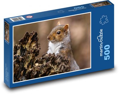 Veverička - hlodavec, zviera - Puzzle 500 dielikov, rozmer 46x30 cm 