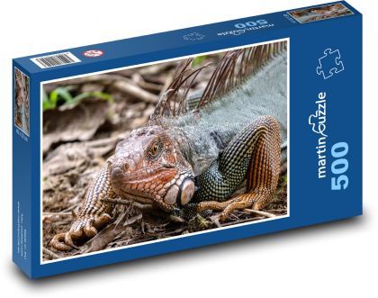 Leguan - Costa Rica, Reptil - Puzzle - 500 Teile