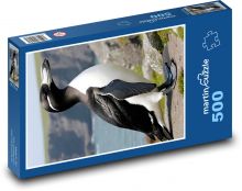 Penguin - animal, coast Puzzle of 500 pieces - 46 x 30 cm