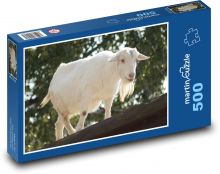 Bílá koza - domácí zvíře, farma Puzzle 500 - 46x30 cm