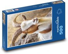 Koza s velkými rohy Puzzle 500 - 46x30 cm